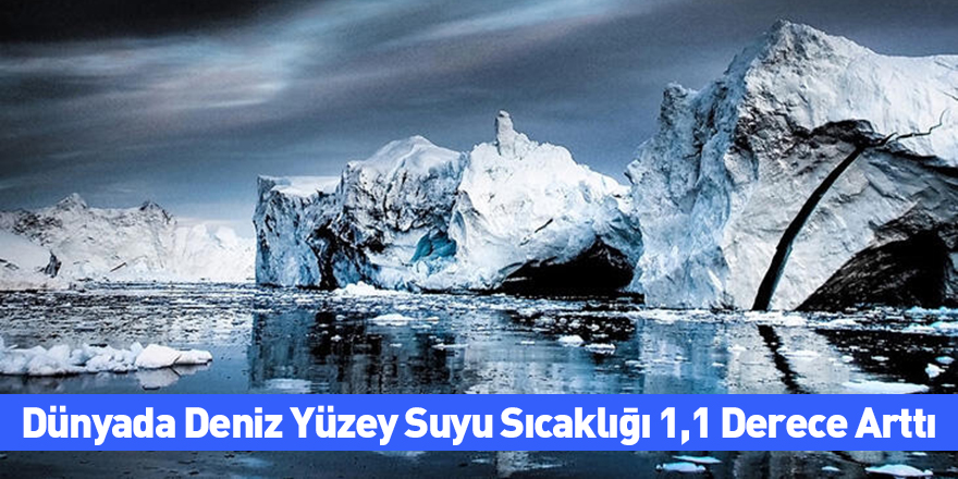 Dünyada Deniz Yüzey Suyu Sıcaklığı 1,1 Derece Arttı