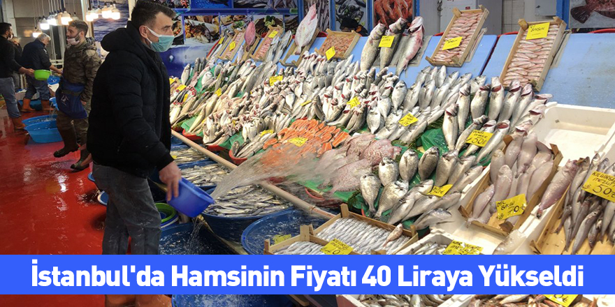 İstanbul'da Hamsinin Fiyatı 40 Liraya Yükseldi