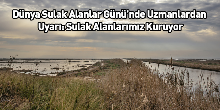 Dünya Sulak Alanlar Günü’nde Uzmanlardan Uyarı: Sulak Alanlarımız Kuruyor