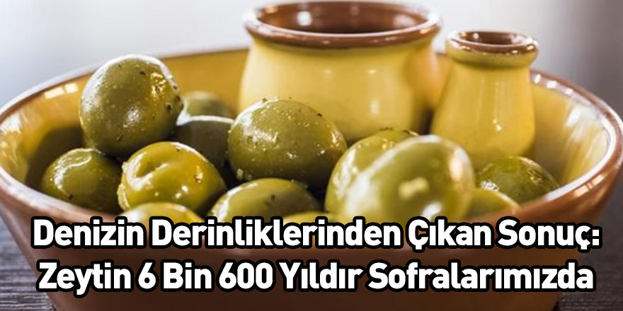 Denizin Derinliklerinden Çıkan Sonuç: Zeytin 6 Bin 600 Yıldır Sofralarımızda