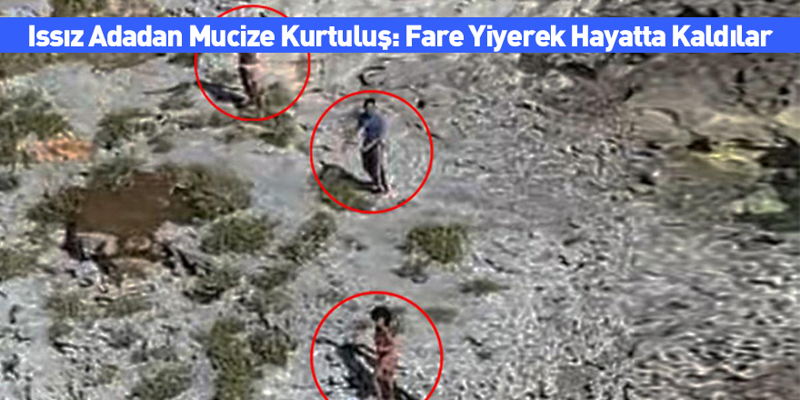 Issız Adadan Mucize Kurtuluş: Fare Yiyerek Hayatta Kaldılar