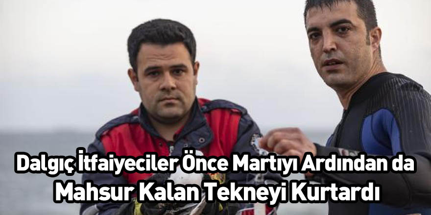 Dalgıç İtfaiyeciler Önce Martıyı Ardından da Mahsur Kalan Tekneyi Kurtardı