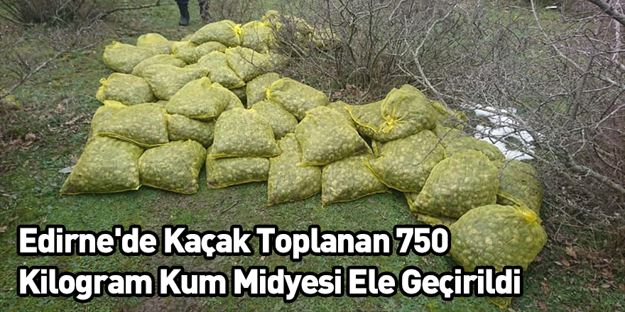 Edirne'de Kaçak Toplanan 750 Kilogram Kum Midyesi Ele Geçirildi
