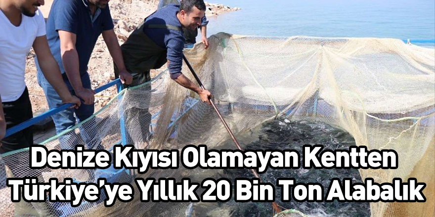 Denize Kıyısı Olamayan Kentten Türkiye’ye Yıllık 20 Bin Ton Alabalık