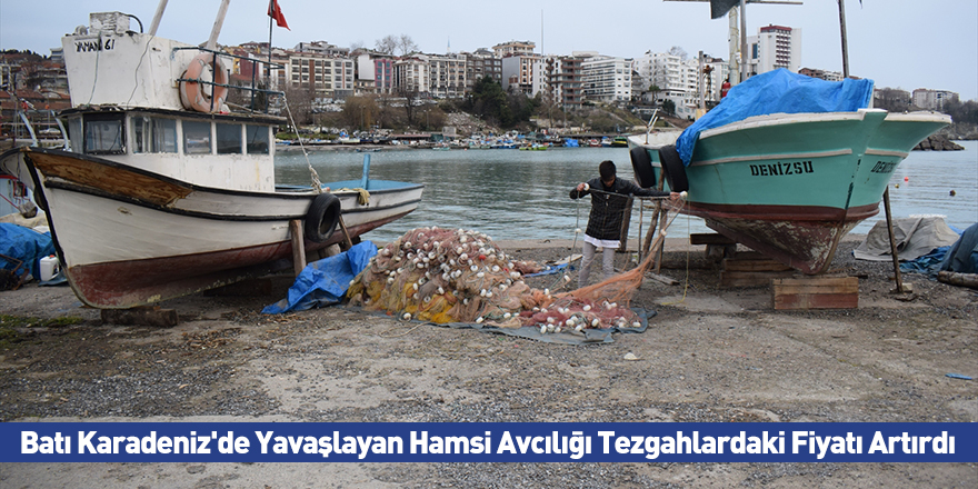 Batı Karadeniz'de Yavaşlayan Hamsi Avcılığı Tezgahlardaki Fiyatı Artırdı