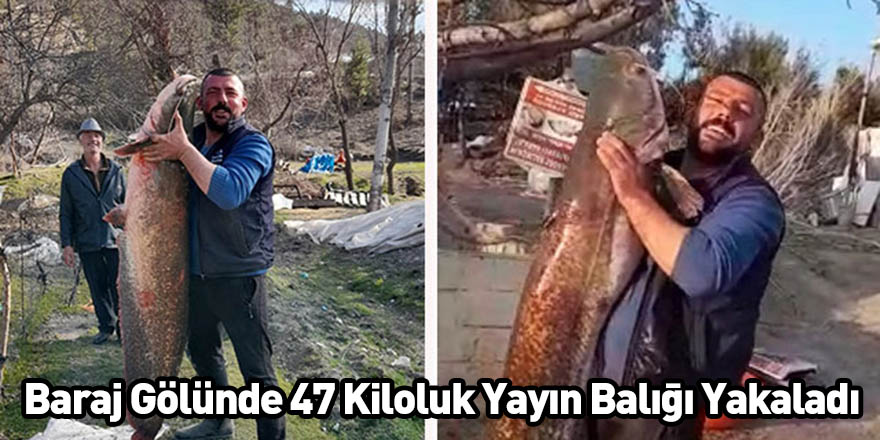 Baraj Gölünde 47 Kiloluk Yayın Balığı Yakaladı