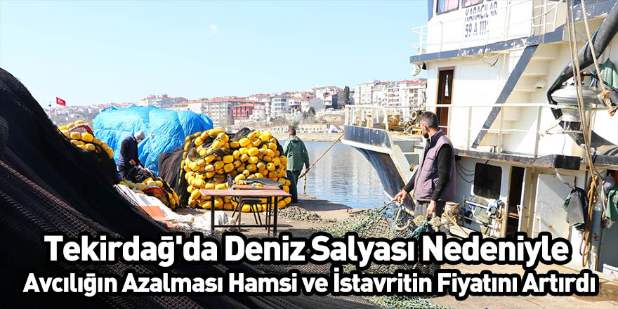 Tekirdağ'da Deniz Salyası Nedeniyle Avcılığın Azalması Hamsi ve İstavritin Fiyatını Artırdı