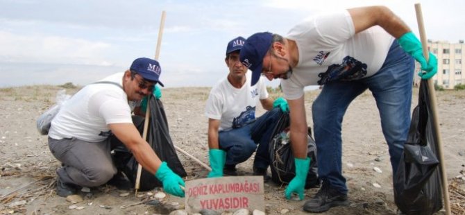 Mersin Limanı çalışanlarından carettalar için sahil temizliği