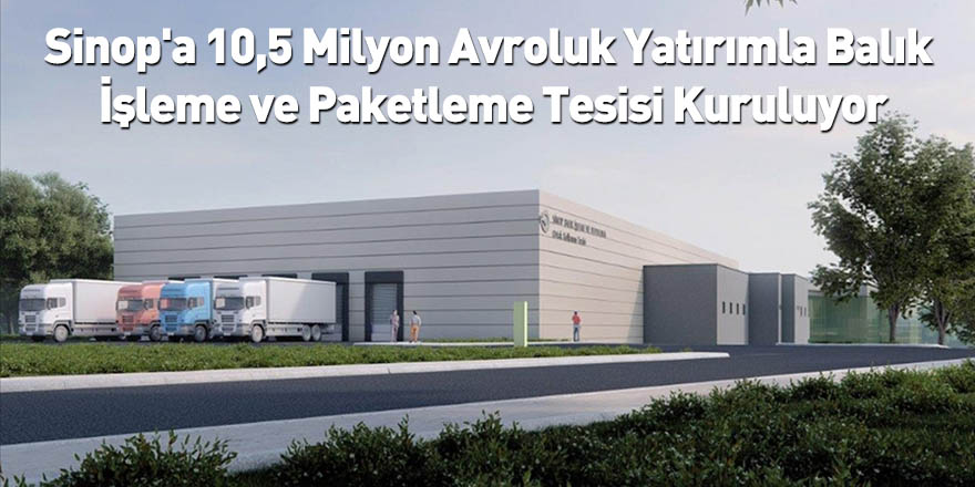 Sinop'a 10,5 Milyon Avroluk Yatırımla Balık İşleme ve Paketleme Tesisi Kuruluyor