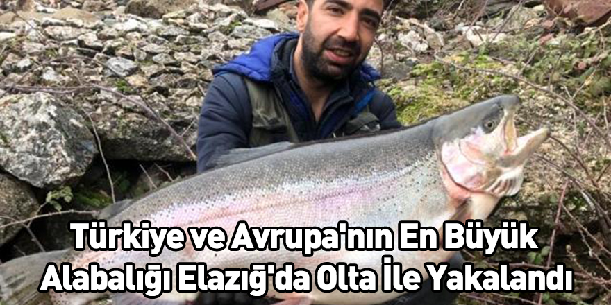 Türkiye ve Avrupa'nın En Büyük Alabalığı Elazığ'da Olta İle Yakalandı