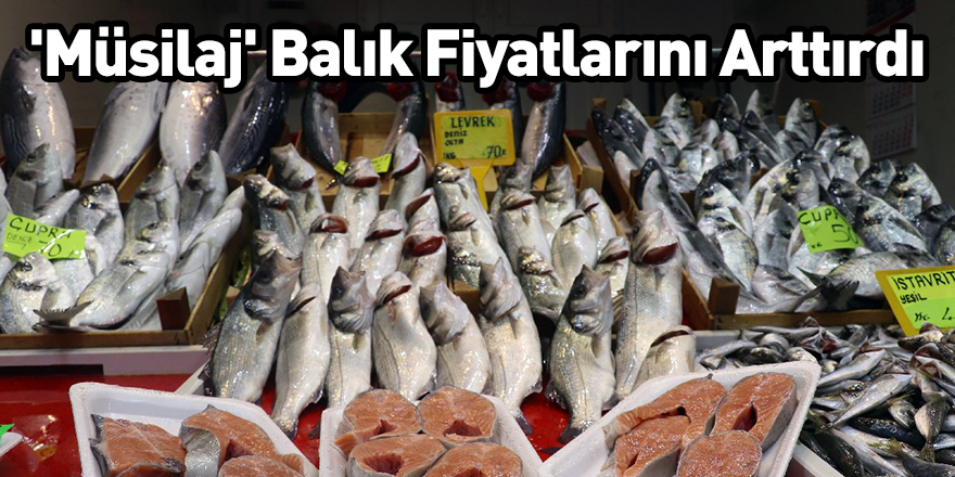 'Müsilaj' Balık Fiyatlarını Arttırdı