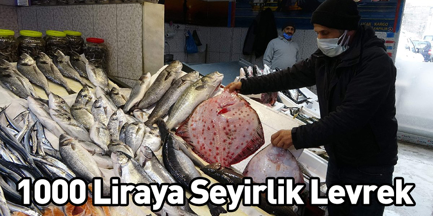 1000 Liraya Seyirlik Levrek