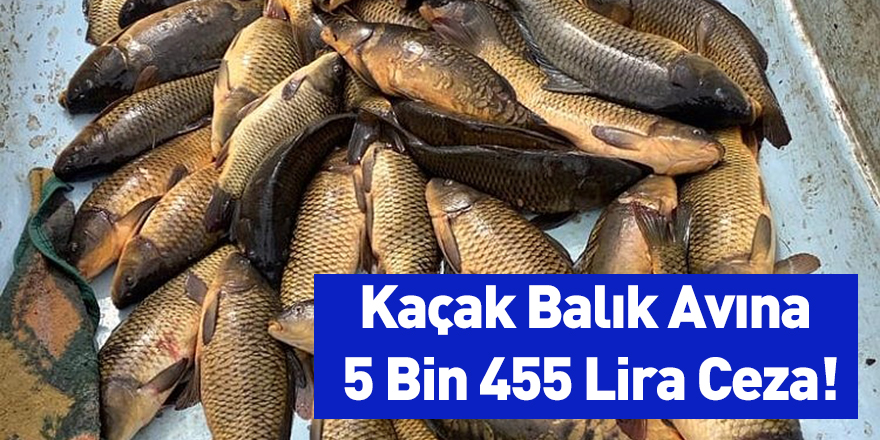 Kaçak Balık Avına 5 Bin 455 Lira Ceza!