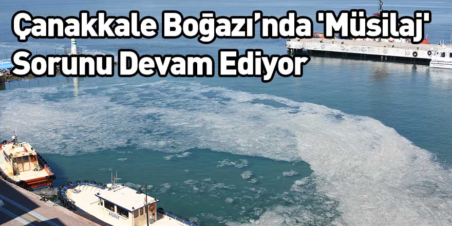 Çanakkale Boğazı´nda 'Müsilaj' Sorunu Devam Ediyor