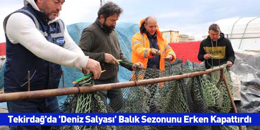 Tekirdağ'da 'Deniz Salyası' Balık Sezonunu Erken Kapattırdı