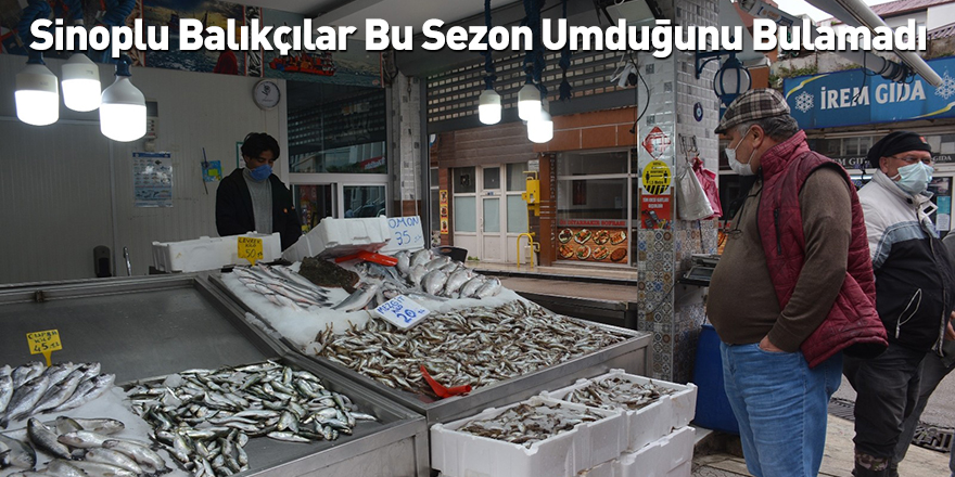 Sinoplu Balıkçılar Bu Sezon Umduğunu Bulamadı