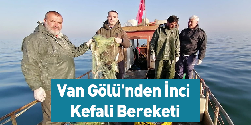 Van Gölü'nden İnci Kefali Bereketi