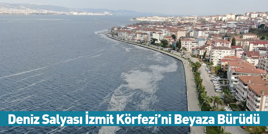 Deniz Salyası İzmit Körfezi’ni Beyaza Bürüdü