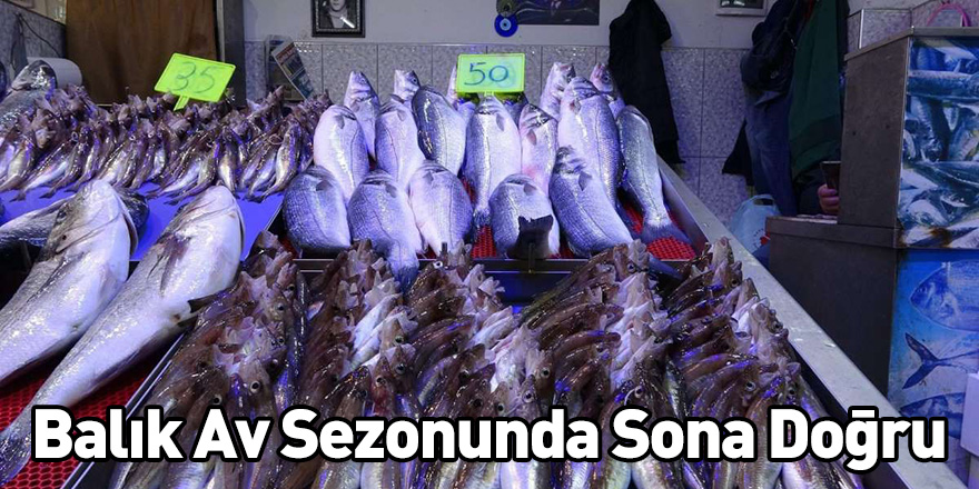 Balık Av Sezonunda Sona Doğru