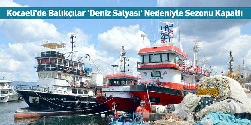 Kocaeli'de Balıkçılar 'Deniz Salyası' Nedeniyle Sezonu Kapattı