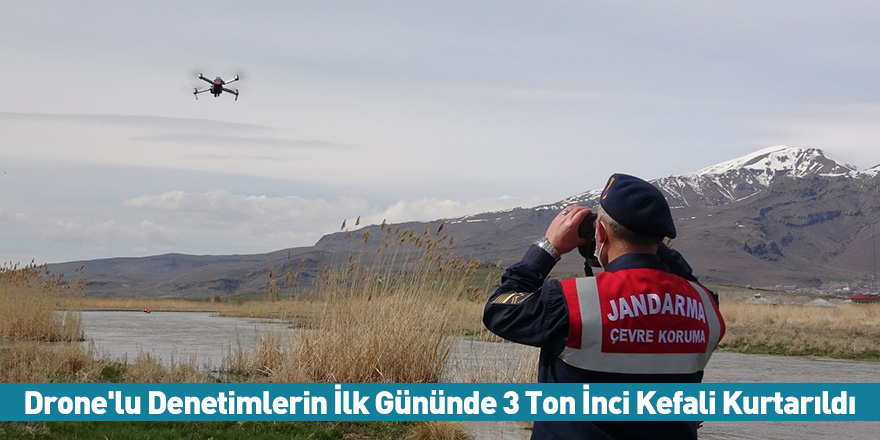 Drone'lu Denetimlerin İlk Gününde 3 Ton İnci Kefali Kurtarıldı