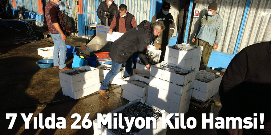 7 Yılda 26 Milyon Kilo Hamsi!