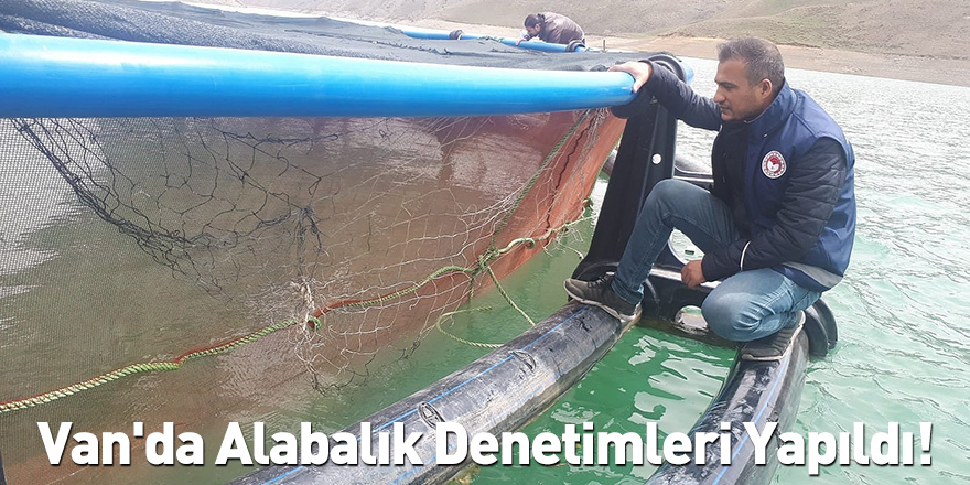 Van'da Alabalık Denetimleri Yapıldı!