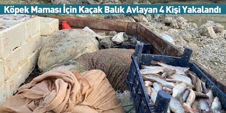 Köpek Maması İçin Kaçak Balık Avlayan 4 Kişi Yakalandı