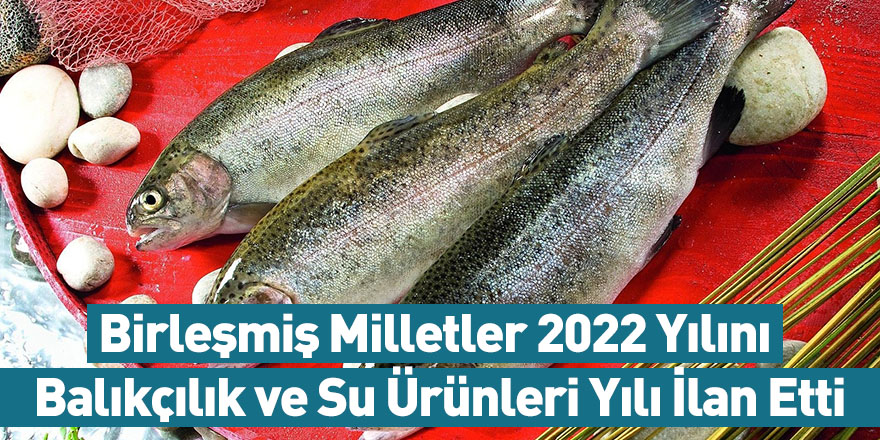 Birleşmiş Milletler 2022 Yılını Balıkçılık Ve Su Ürünleri Yılı İlan Etti
