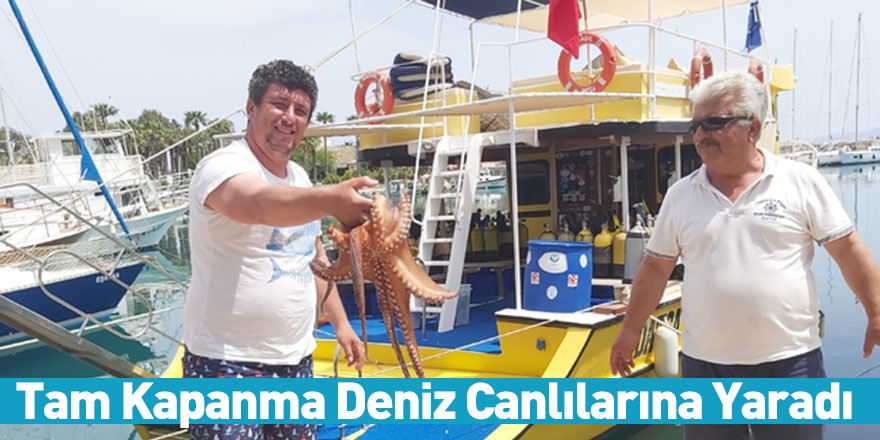 Tam Kapanma Deniz Canlılarına Yaradı