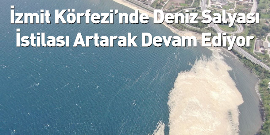 İzmit Körfezi’nde Deniz Salyası İstilası Artarak Devam Ediyor