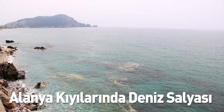 Alanya Kıyılarında Deniz Salyası