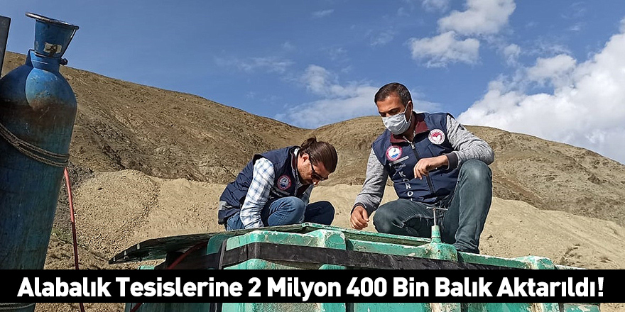 Alabalık Tesislerine 2 Milyon 400 Bin Balık Aktarıldı!