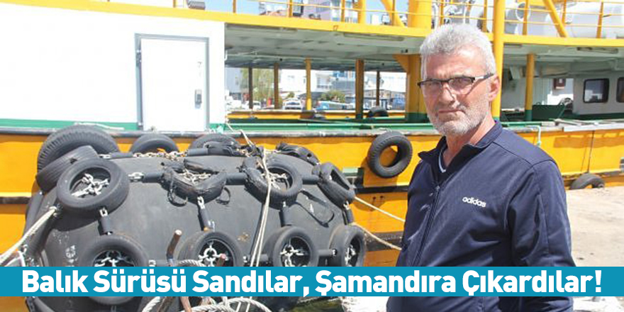 Balık Sürüsü Sandılar, Şamandıra Çıkardılar!