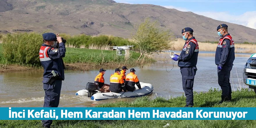 İnci Kefali, Hem Karadan Hem Havadan Korunuyor