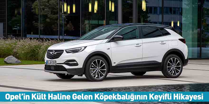 Opel’in Kült Haline Gelen Köpekbalığının Keyifli Hikayesi