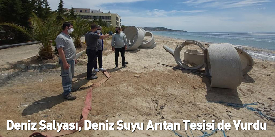 Deniz Salyası, Deniz Suyu Arıtan Tesisi De Vurdu