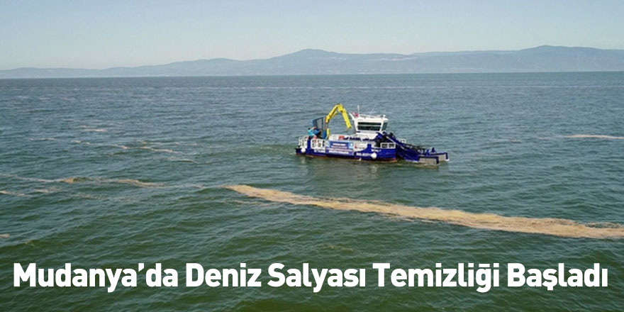Mudanya’da Deniz Salyası Temizliği Başladı