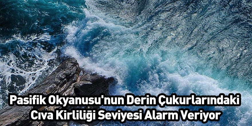 Pasifik Okyanusu'nun Derin Çukurlarındaki Cıva Kirliliği Seviyesi Alarm Veriyor