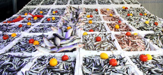 Akdeniz'de balık bolluğu fiyatları düşürdü