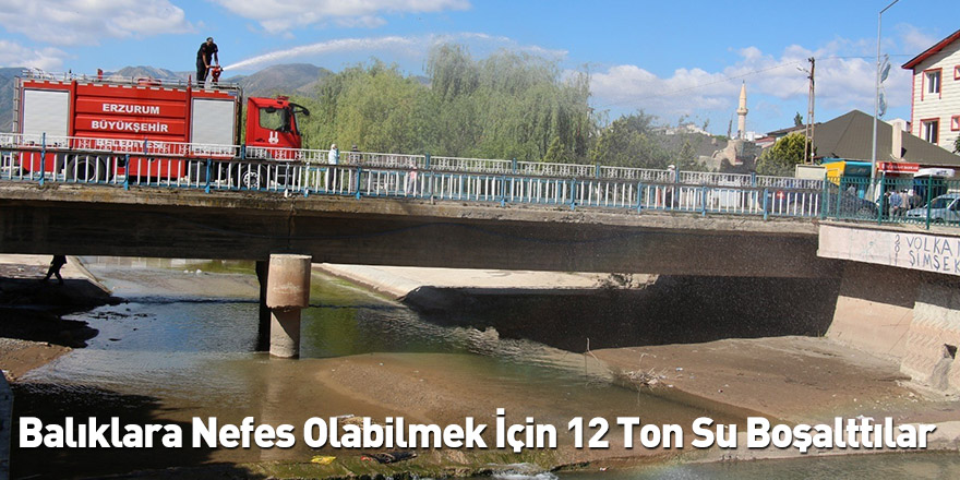 Balıklara Nefes Olabilmek İçin 12 Ton Su Boşalttılar