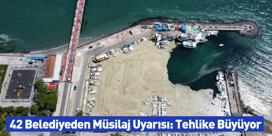 42 Belediyeden Müsilaj Uyarısı: Tehlike Büyüyor