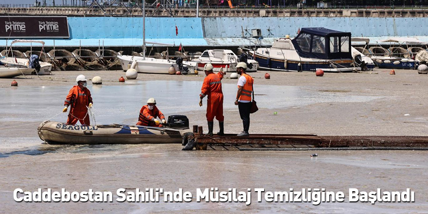 Caddebostan Sahili'nde Müsilaj Temizliğine Başlandı