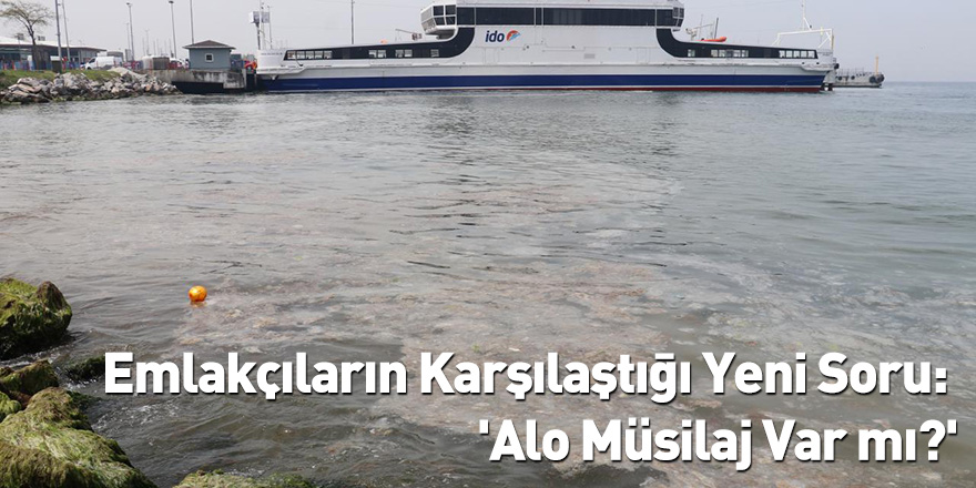 Emlakçıların Karşılaştığı Yeni Soru: 'Alo Müsilaj Var mı?'