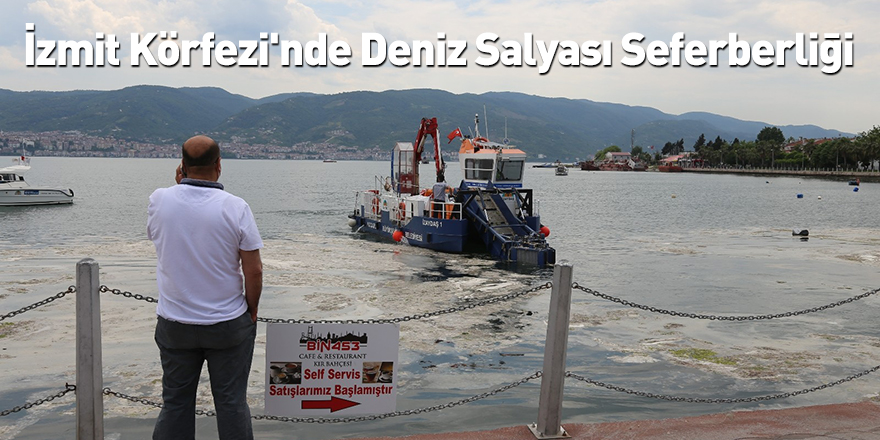 İzmit Körfezi'nde Deniz Salyası Seferberliği