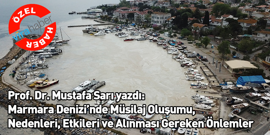 Prof. Dr. Mustafa Sarı: Marmara Denizi’nde Müsilaj Oluşumu, Nedenleri, Etkileri ve Alınması Gereken Önlemler