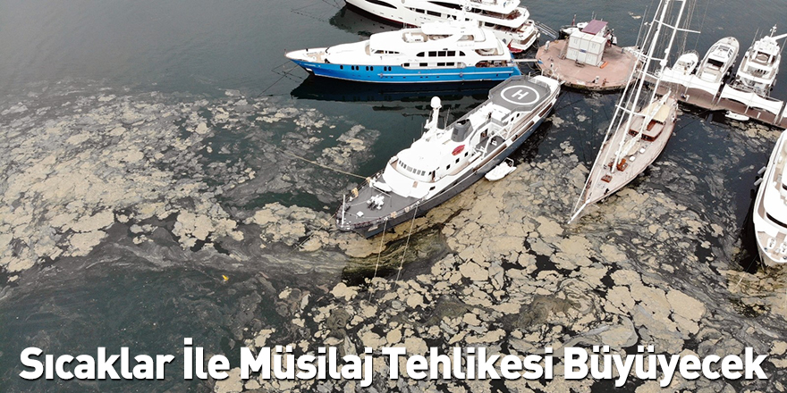 Sıcaklar İle Müsilaj Tehlikesi Büyüyecek