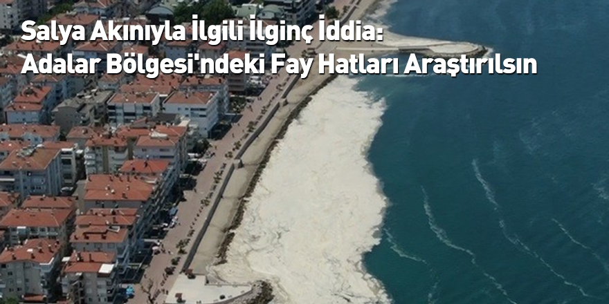 Salya Akınıyla İlgili İlginç İddia: Adalar Bölgesi'ndeki Fay Hatları Araştırılsın