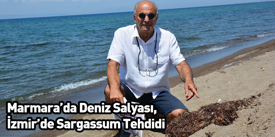 Marmara’da Deniz Salyası, İzmir’de Sargassum Tehdidi