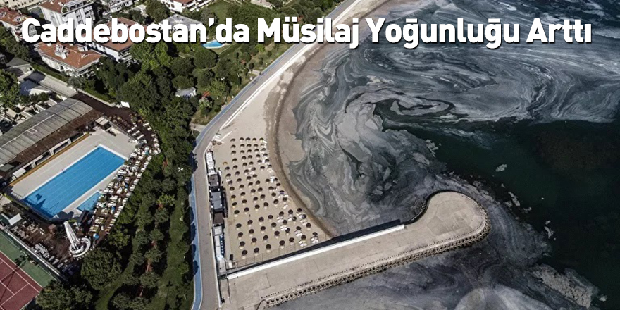 Caddebostan’da Müsilaj Yoğunluğu Arttı